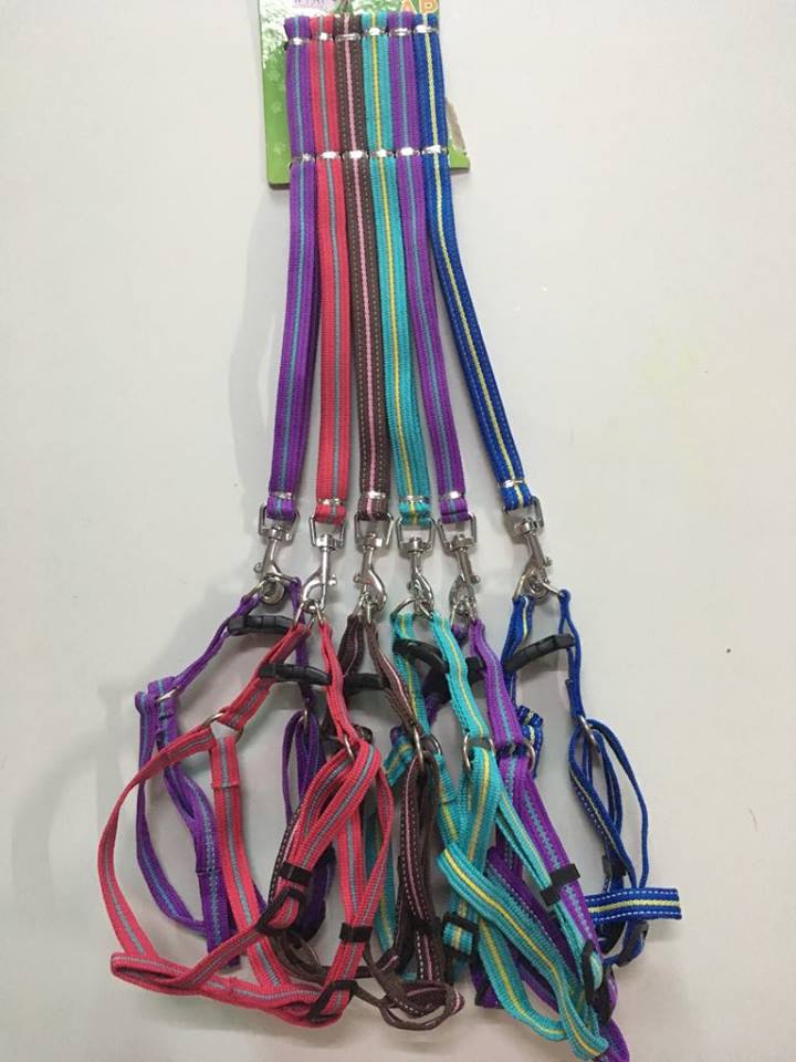 Dây dắt 1,5cm